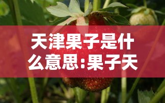 沈阳最新消息今天新增病例(沈阳最新消息今天新增病例详情) 沈阳最新消息今天新增病例(沈阳最新消息今天新增病例详情)