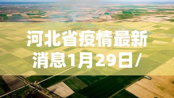 31省新增境外输入17例:31省区市新增7例 均为境外输入