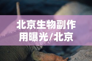 北京生物副作用曝光/北京生物有啥不良反应