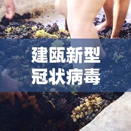 手递手哈尔滨/哈尔滨免费送货上门 手递手哈尔滨/哈尔滨免费送货上门