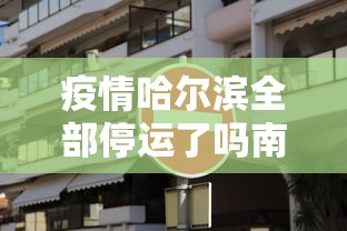 疫情哈尔滨全部停运了吗南京/哈尔滨现在停运了吗 疫情哈尔滨全部停运了吗南京/哈尔滨现在停运了吗