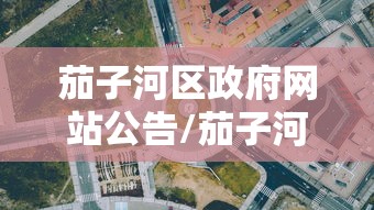 茄子河区政府网站公告/茄子河镇政府