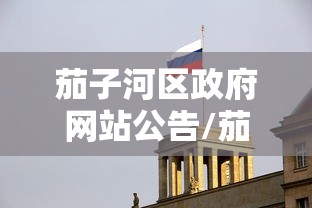茄子河区政府网站公告/茄子河镇政府