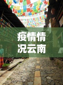 疫情情况云南省重庆市最新消息:云南省疫情情况全部