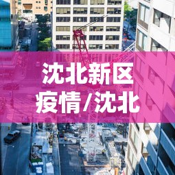 沈北新区疫情/沈北新区 疫情