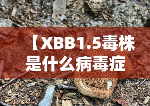 山东无新增本土病例:山东无新增本土病例最新消息 山东无新增本土病例:山东无新增本土病例最新消息