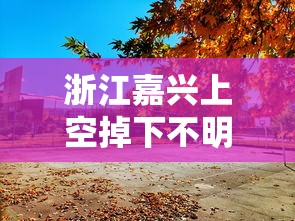 浙江嘉兴上空掉下不明物体（浙江嘉兴上空掉下不明物体挖了15米深还没找到）