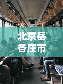 北京岳各庄市场疫情已致50人感染/北京岳各庄市场价格