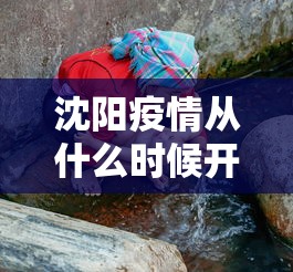 沈阳疫情从什么时候开始的/沈阳疫情何时开始的 沈阳疫情从什么时候开始的/沈阳疫情何时开始的