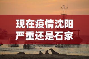 现在疫情沈阳严重还是石家庄严重:沈阳的疫情与以前有很大不同