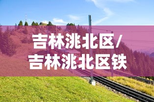 通州区疫情防控/通州区疫情防控小组 张华