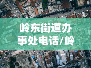 岭东街道办事处电话/岭东街道属于哪个区