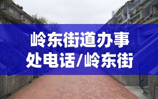 岭东街道办事处电话/岭东街道属于哪个区