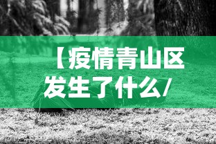 【疫情青山区发生了什么/青山区新冠肺炎】 【疫情青山区发生了什么/青山区新冠肺炎】