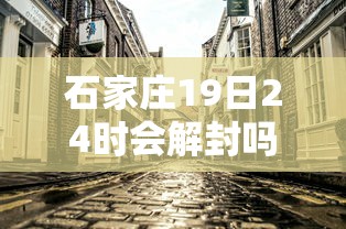 重庆卫视直播表/重庆卫视直播在线观看节目表