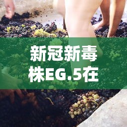 新冠新毒株EG.5在美流行/美国新冠毒株5种