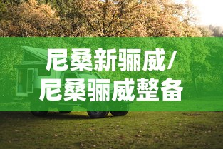 尼桑新骊威/尼桑骊威整备质量是多少