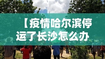 【疫情哈尔滨停运了长沙怎么办/哈尔滨有没有疫情而停运】 【疫情哈尔滨停运了长沙怎么办/哈尔滨有没有疫情而停运】