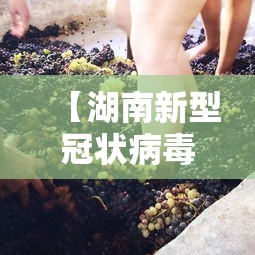 【湖南新型冠状病毒,实时更新湖南新型冠状】 【湖南新型冠状病毒,实时更新湖南新型冠状】