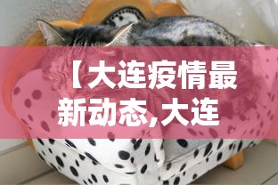 【大连疫情最新动态,大连疫情最新情况行动轨迹】 【大连疫情最新动态,大连疫情最新情况行动轨迹】