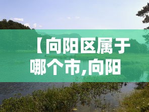 【向阳区属于哪个市,向阳区百科】