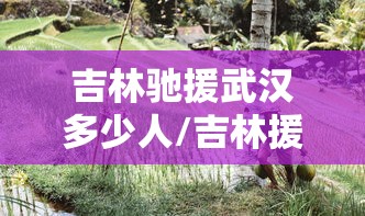 吉林驰援武汉多少人/吉林援助武汉医疗队总共多少人
