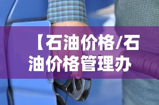 【石油价格/石油价格管理办法】
