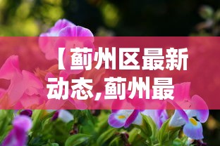 今起石家庄实行分区分级管控（石家庄分几个区最新的）