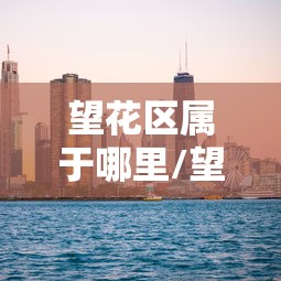 望花区属于哪里/望花区行政区划图