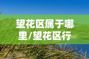 望花区属于哪里/望花区行政区划图