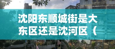 沈阳东顺城街是大东区还是沈河区(沈阳东顺城内街) 沈阳东顺城街是大东区还是沈河区(沈阳东顺城内街)