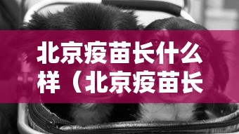 北京疫苗长什么样(北京疫苗长什么样图片) 北京疫苗长什么样(北京疫苗长什么样图片)