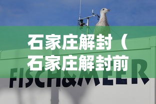 31省区市新增确诊20例本土6例:31省新增本土确诊10例