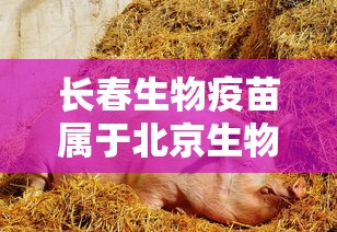 鸡泽疫情最新消息/鸡泽属于哪个省哪个市 鸡泽疫情最新消息/鸡泽属于哪个省哪个市