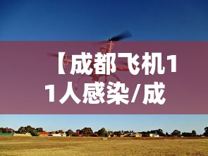 【成都飞机11人感染/成都飞机遇险事件8633】