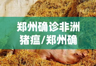 郑州确诊非洲猪瘟/郑州确诊非洲猪瘟病例 郑州确诊非洲猪瘟/郑州确诊非洲猪瘟病例