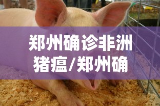 郑州确诊非洲猪瘟/郑州确诊非洲猪瘟病例 郑州确诊非洲猪瘟/郑州确诊非洲猪瘟病例