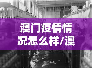 dnf爱丽丝的住处(dnf爱丽丝剧情) dnf爱丽丝的住处(dnf爱丽丝剧情)