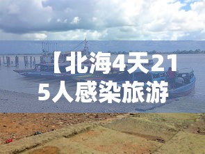 河北新增无症状55例/河北又出现新病毒了吗