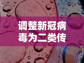 调整新冠病毒为二类传染病:调整新冠病毒为二类传染病的措施