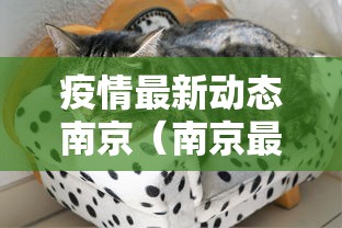 疫情最新动态南京(南京最新疫情最新消息实时情况) 疫情最新动态南京(南京最新疫情最新消息实时情况)