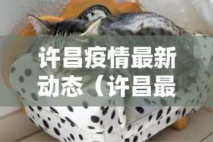 玩家测评“微信金花哪里买房卡”房卡获取方法