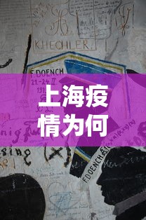 上海疫情为何不追责/上海什么原因造成疫情大爆发