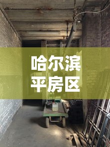 哈尔滨平房区发现2例阳性感染者/哈尔滨平房区改造项目事故最新消息
