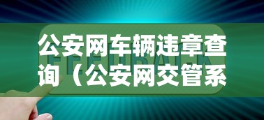 公安网车辆违章查询(公安网交管系统) 公安网车辆违章查询(公安网交管系统)