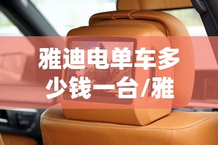 雅迪电单车多少钱一台/雅迪电动车多小钱一辆啊