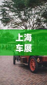 上海车展现“返阳潮”的简单介绍