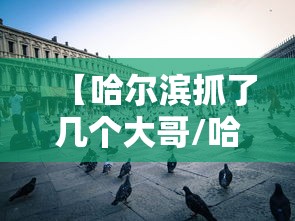 【哈尔滨抓了几个大哥/哈尔滨黑社会历史】