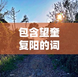 包含望奎复阳的词条 包含望奎复阳的词条