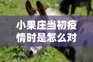 小果庄当初疫情时是怎么对待动物的（小果庄当初疫情时是怎么对待动物的呢）